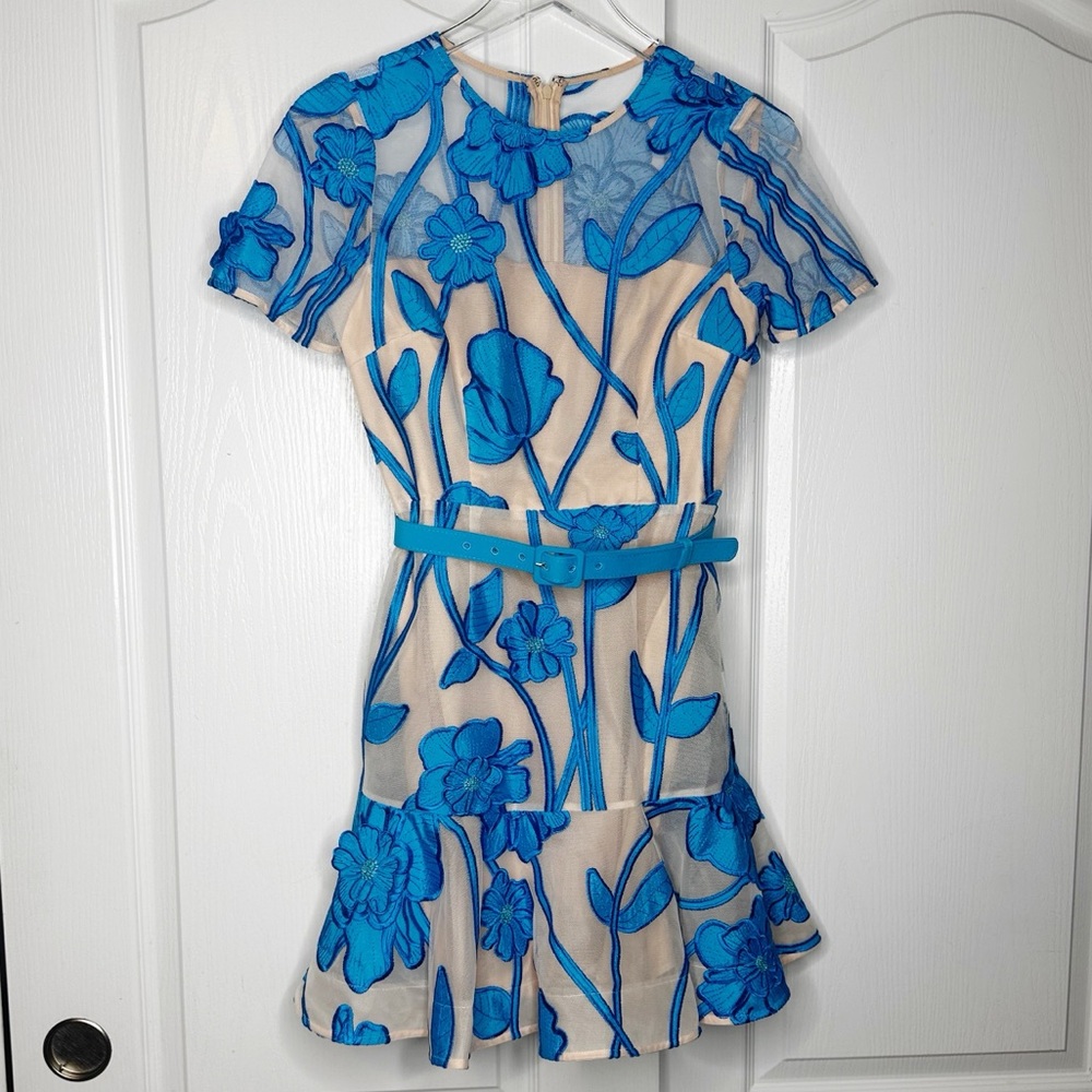 Milly Rosie Grand Fleur Embroidered Floral Applique Mesh Mini Dress Blue Size 0 - Picture 5 of 15